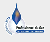 PROFESSIONNEL DU GAZ